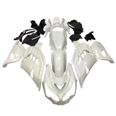 Kawasaki ZX-14R 2012-2017 Vollverkleidung RNE Kawasaki ZX-14R 2012-2017 Vollverkleidung RNE
