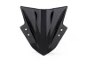 Gerauchtes Plexiglasschild Kawasaki Ninja 300 2013-2016 für Motorrad