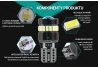 SEFIS LED-Lampe 224 W5W T10 12V 19SMD weiß für das Auto