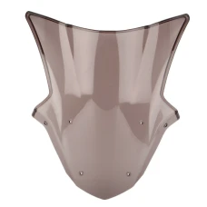 Leicht gerauchtes Plexiglasschild Kawasaki ZX-10R 2011-2013