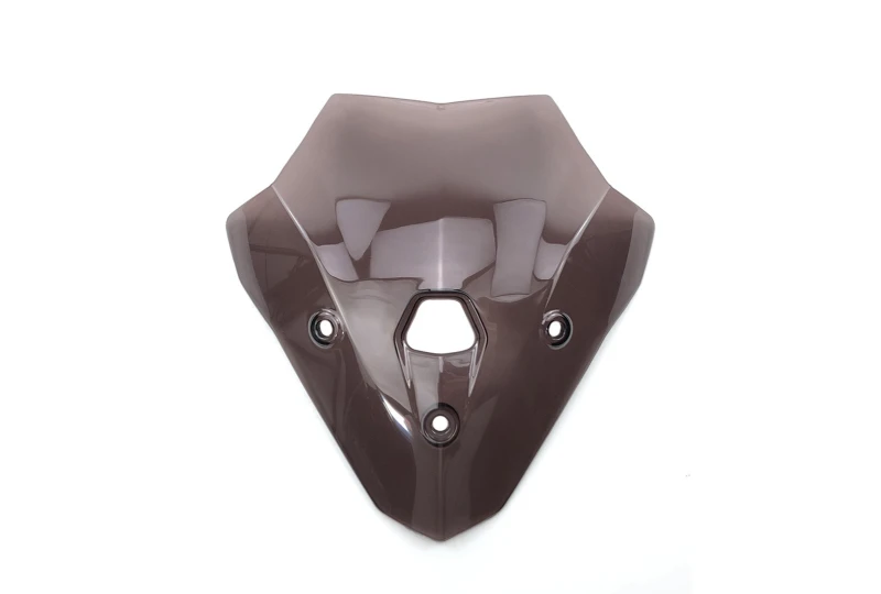 Leicht gerauchtes Plexiglasschild BMW F900R 2020-2023 für Motorrad