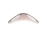 Leicht gerauchtes Plexiglasschild Kawasaki ZX-9R 1998-1999 für Motorrad