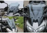 SEFIS leicht gerauchtes Plexiglasschild Kawasaki Z900 2020-2023