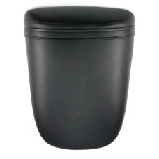 Beifahrersitz Honda CBR 929 2000-2001