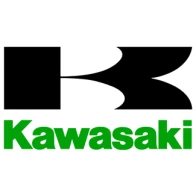 Kawasaki lackierte Verkleidung